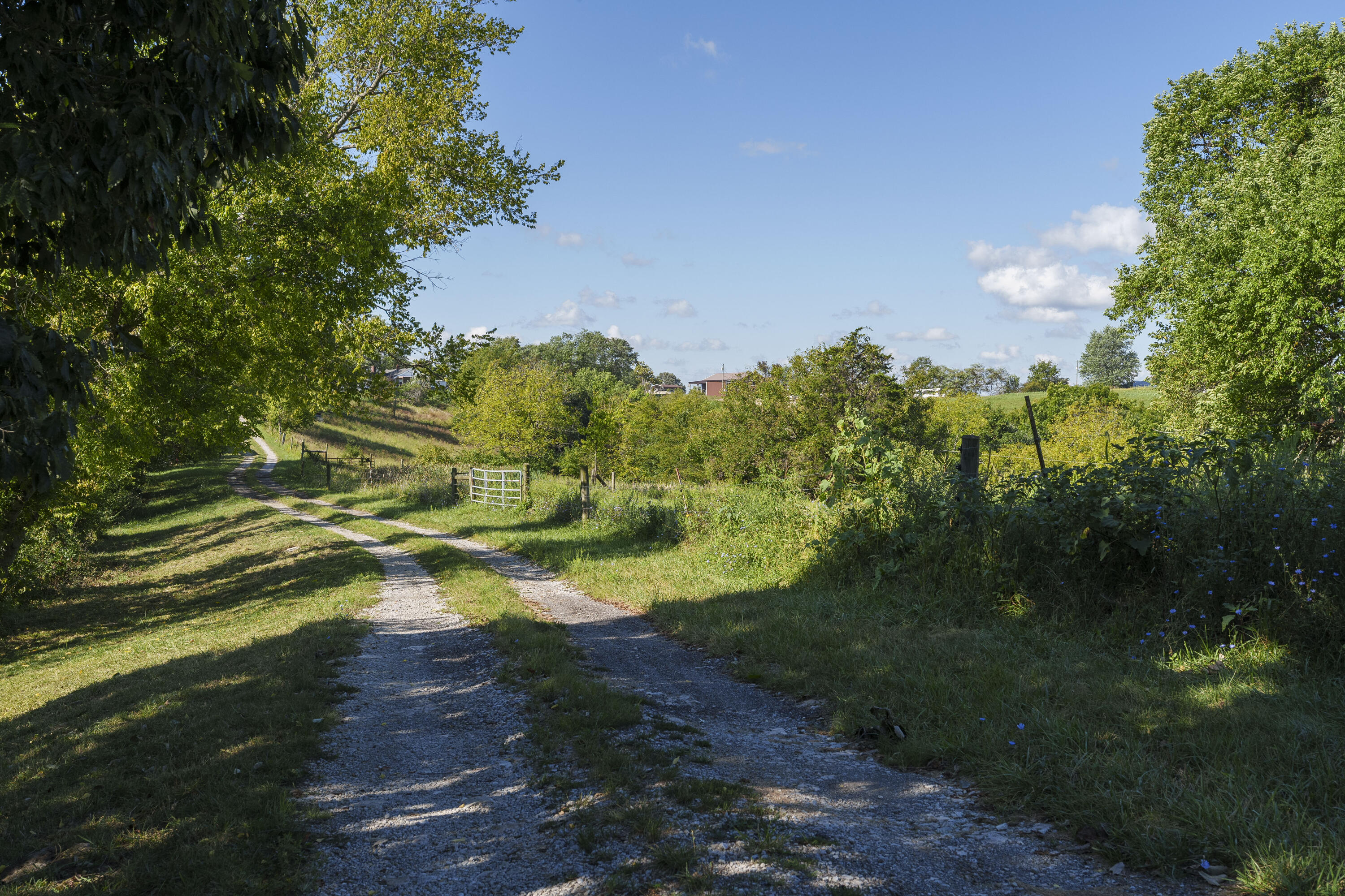 20-acres Keefer Road Corinth, KY 41010 - Photo 5 of 5
