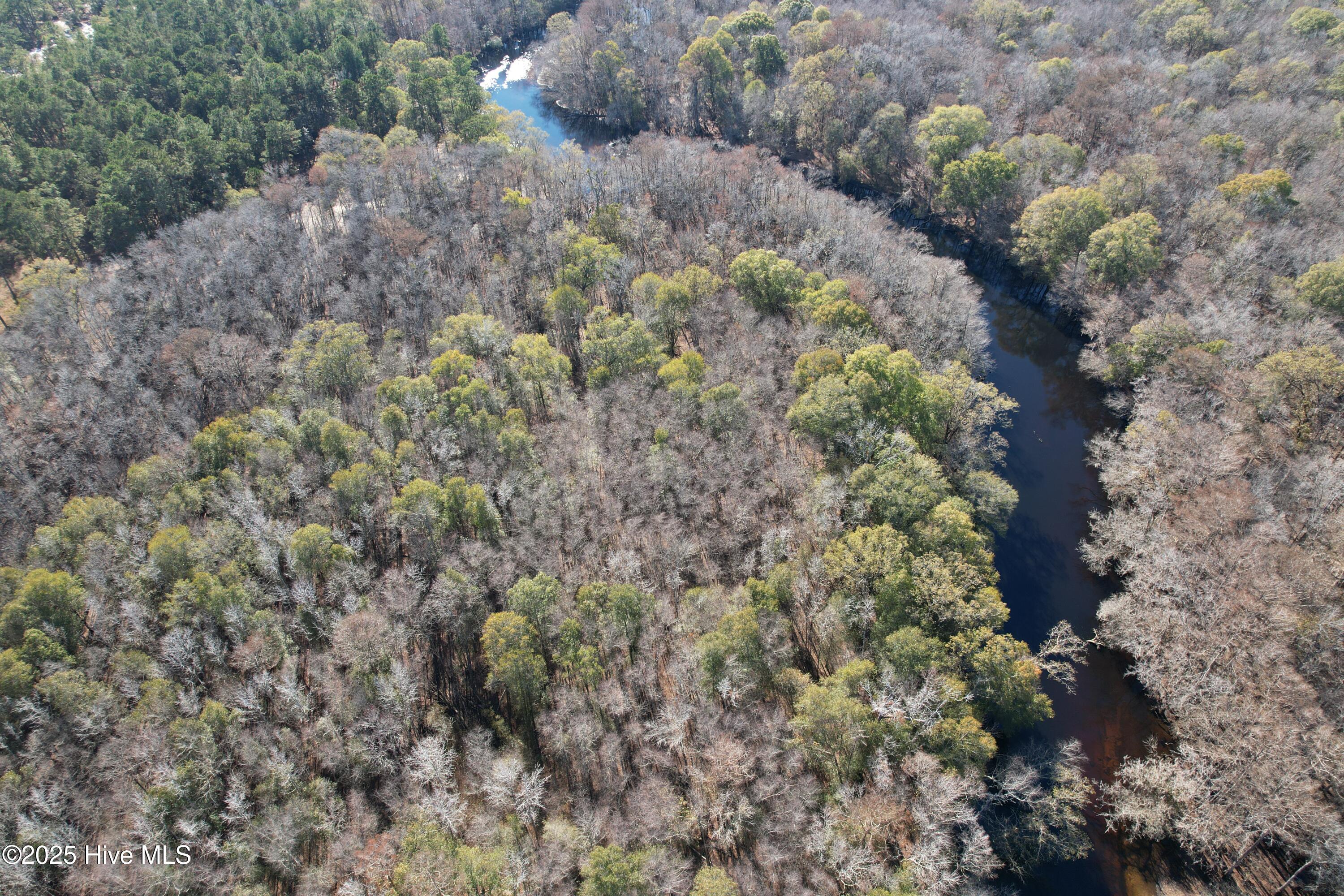 0 Macedonia Church Road Evergreen, NC 28438 - Photo 1 of 34 Image 1