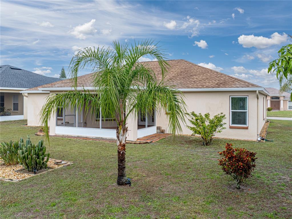315 Cloverdale Road Winter Haven, FL 33884 - Photo 58 of 65 a palm tree sitting in front of a house with a yard