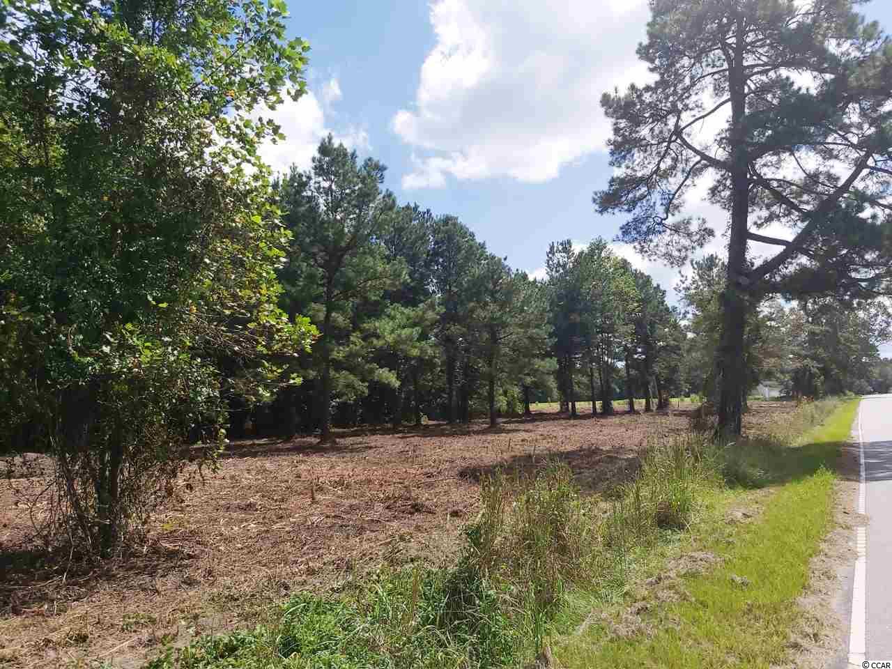 Tbd Dog Bluff Road Aynor, SC 29511 - Photo 1 of 5 Gallery Image 1