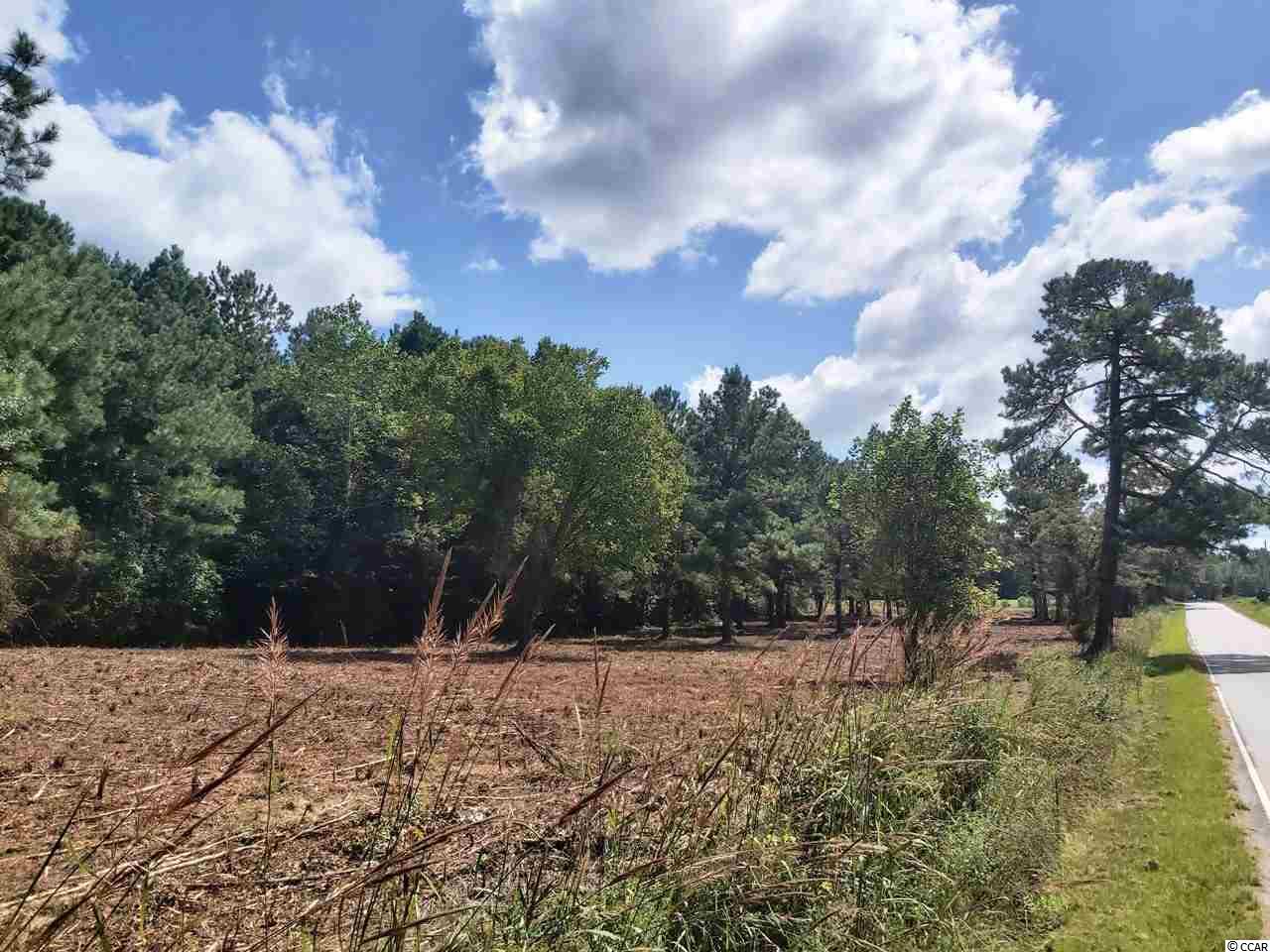 Tbd Dog Bluff Road Aynor, SC 29511 - Photo 2 of 5 Gallery Image 2