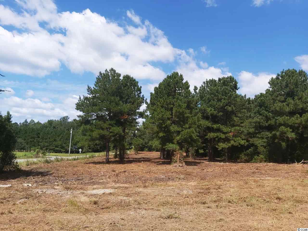 Tbd Dog Bluff Road Aynor, SC 29511 - Photo 3 of 5 Gallery Image 3