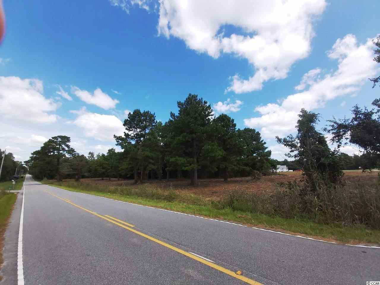 Tbd Dog Bluff Road Aynor, SC 29511 - Photo 4 of 5 Gallery Image 4