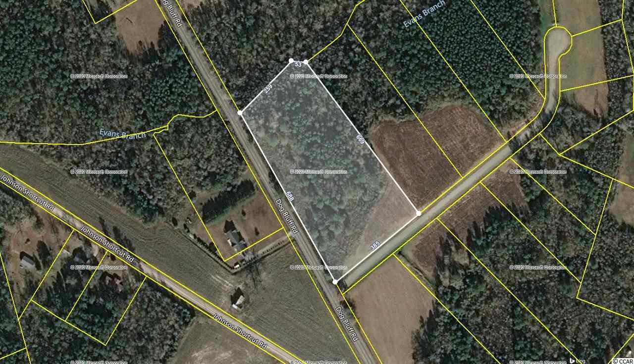 Tbd Dog Bluff Road Aynor, SC 29511 - Photo 5 of 5 Gallery Image 5