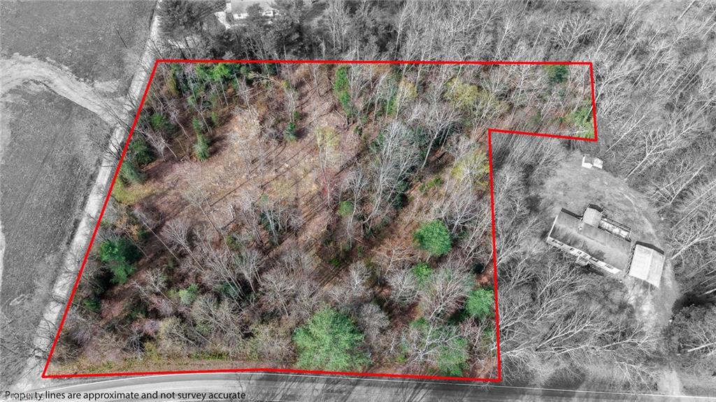 0 McKinley Road Roaring River, NC 28669 - Photo 2 of 35