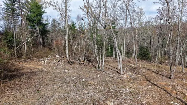 $49,900 | 0 McKinley Road, Roaring River, NC 28669
