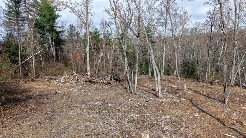 0 McKinley Road Roaring River, NC 28669 - Photo 23 of 35