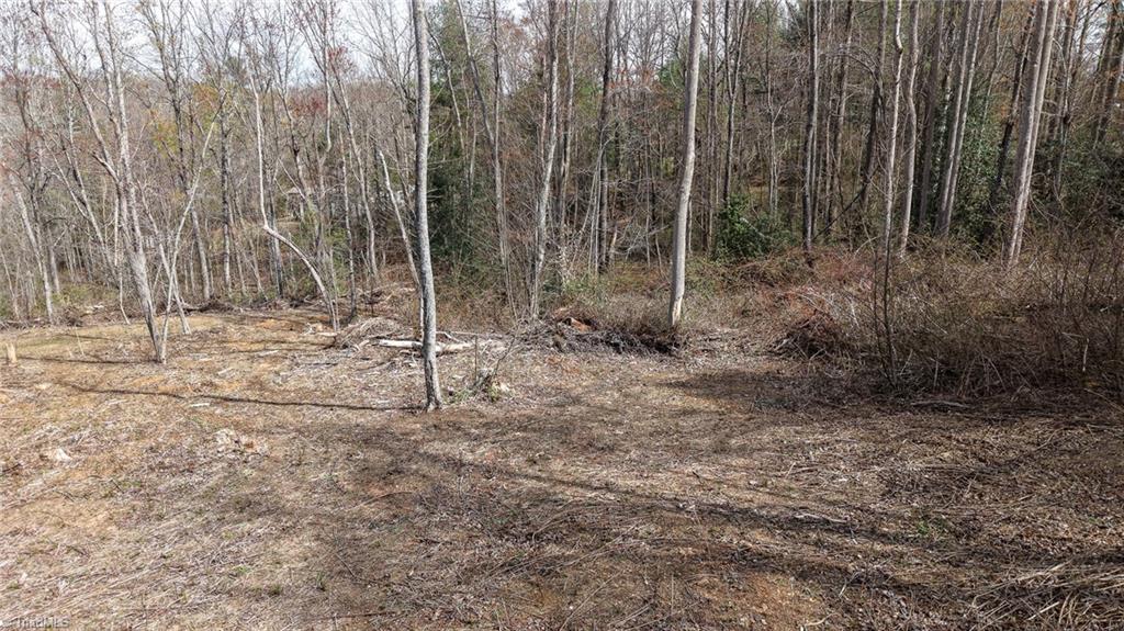 0 McKinley Road Roaring River, NC 28669 - Photo 24 of 35