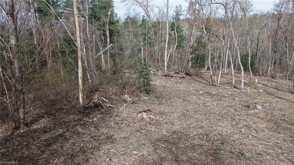 0 McKinley Road Roaring River, NC 28669 - Photo 25 of 35