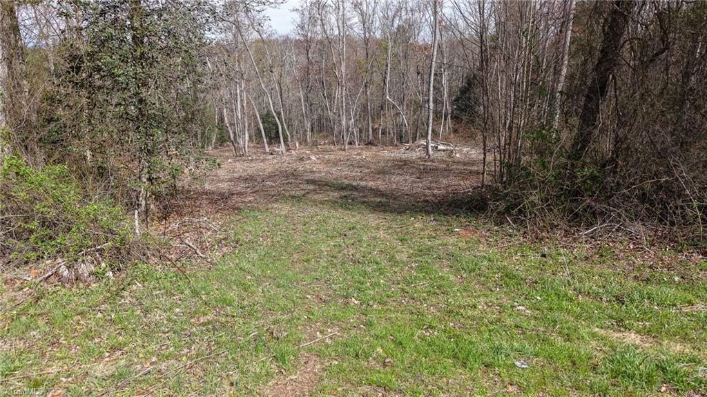 0 McKinley Road Roaring River, NC 28669 - Photo 26 of 35