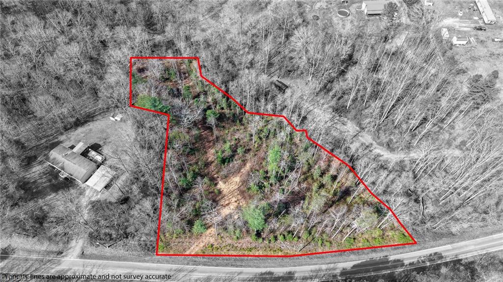 0 McKinley Road Roaring River, NC 28669 - Photo 3 of 35