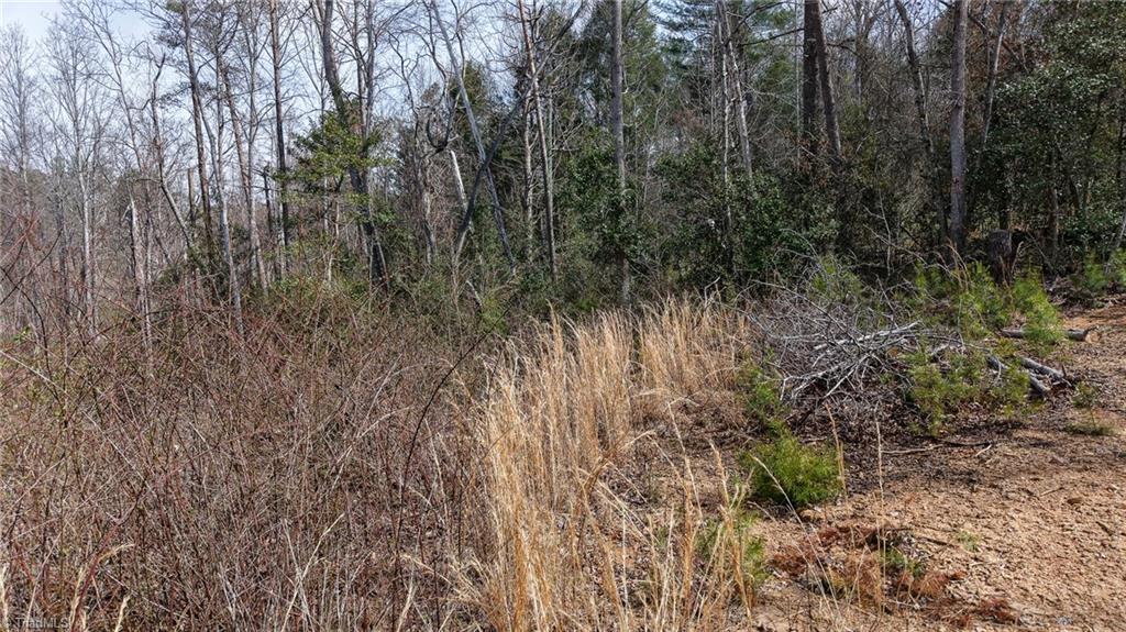 0 McKinley Road Roaring River, NC 28669 - Photo 4 of 35