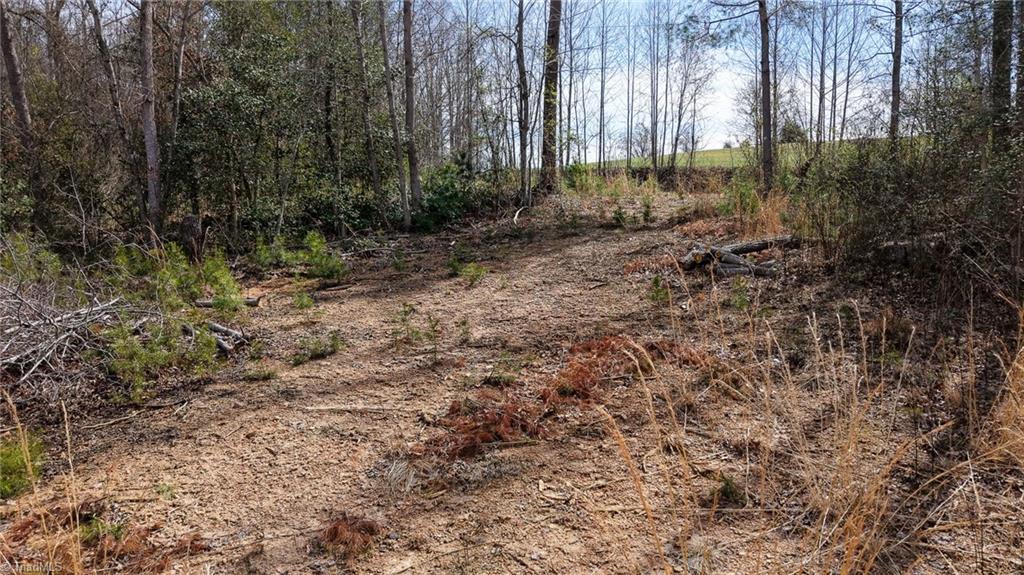 0 McKinley Road Roaring River, NC 28669 - Photo 5 of 35