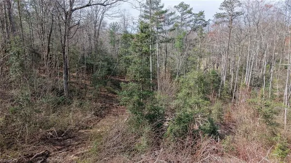 $49,900 | 0 McKinley Road, Roaring River, NC 28669
