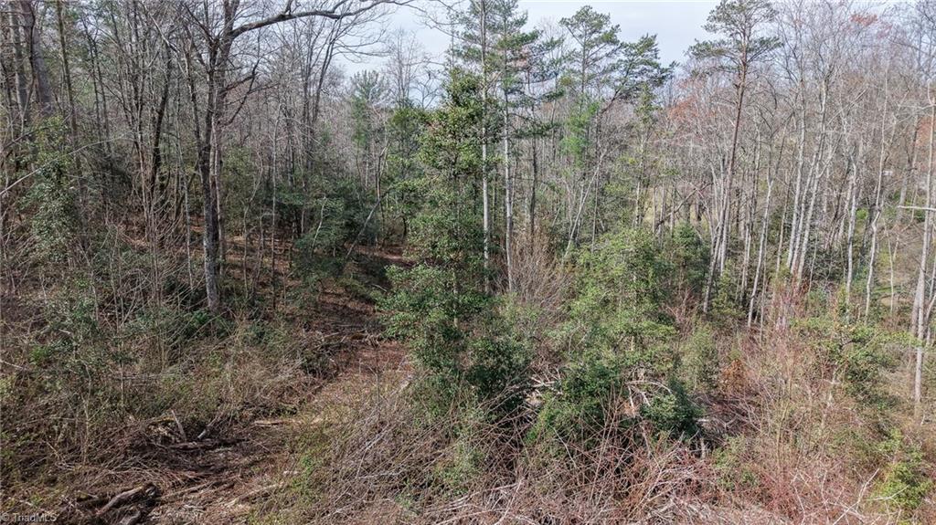 0 McKinley Road Roaring River, NC 28669 - Photo 6 of 35