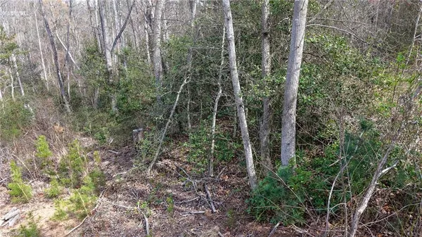 $49,900 | 0 McKinley Road, Roaring River, NC 28669