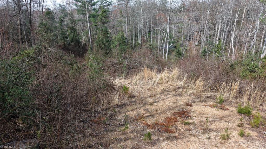 0 McKinley Road Roaring River, NC 28669 - Photo 9 of 35