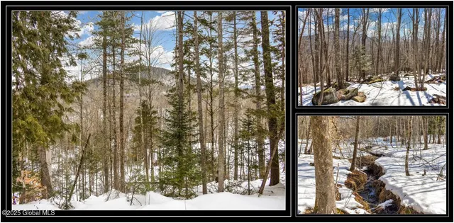 $97,500 | L64 Cooper Hill Road, North Creek, NY 12853