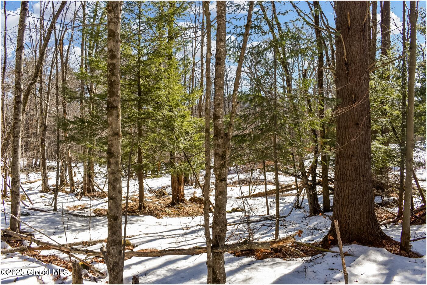 L64 Cooper Hill Road North Creek, NY 12853 - Photo 11 of 29 ch21