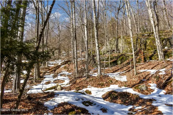 $97,500 | L64 Cooper Hill Road, North Creek, NY 12853