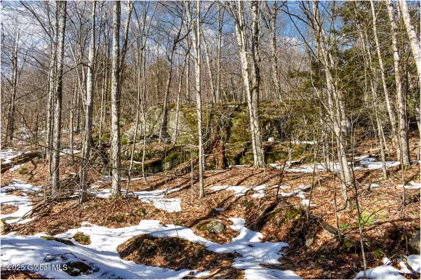 $97,500 | L64 Cooper Hill Road, North Creek, NY 12853