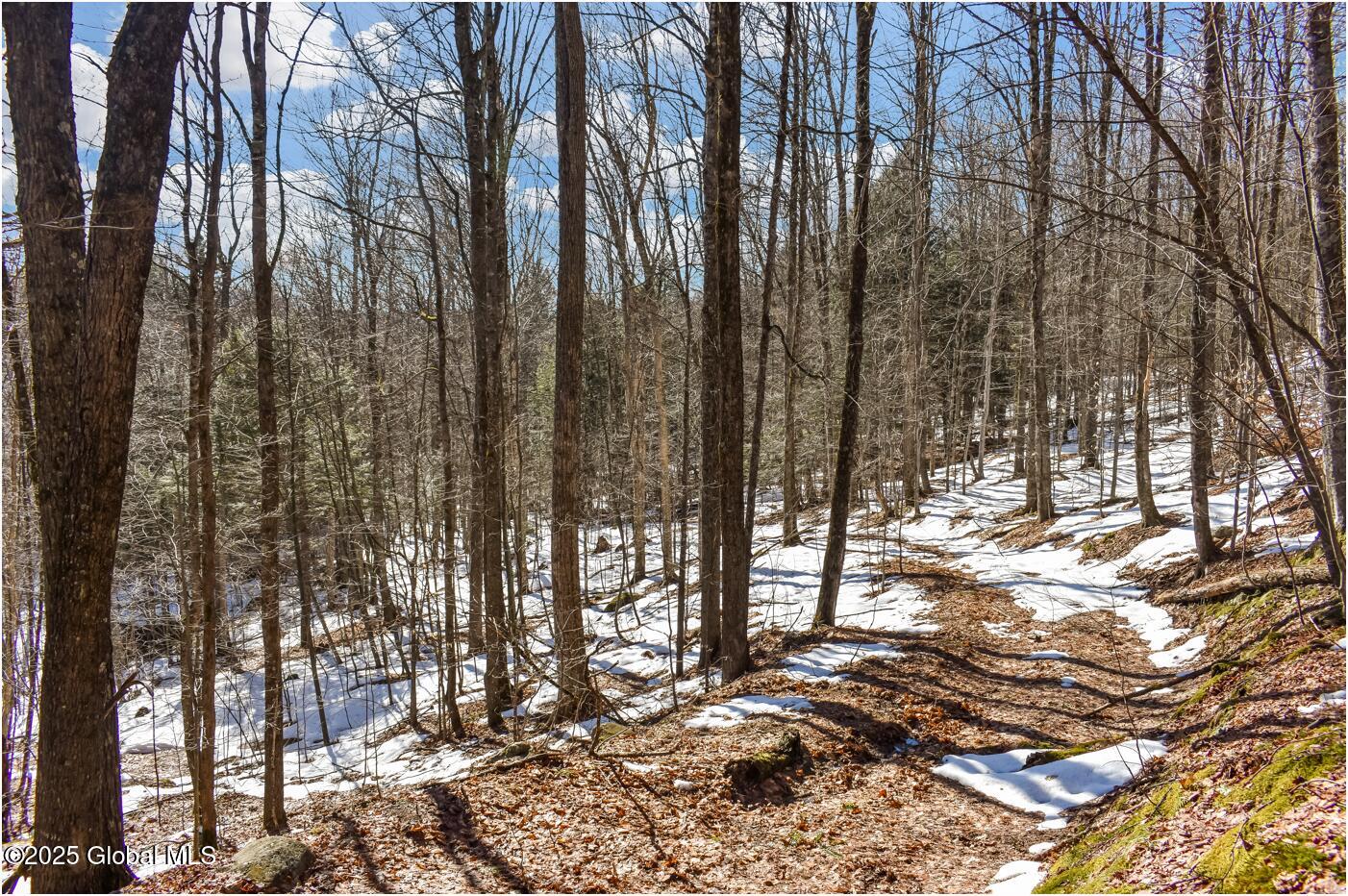 L64 Cooper Hill Road North Creek, NY 12853 - Photo 14 of 29 ch18