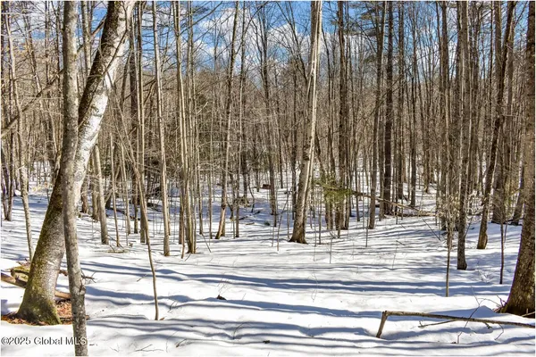 $97,500 | L64 Cooper Hill Road, North Creek, NY 12853