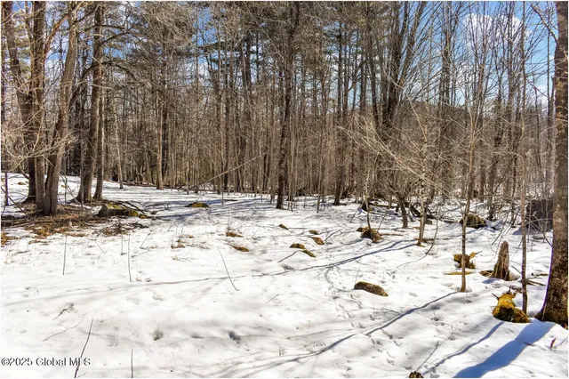 $97,500 | L64 Cooper Hill Road, North Creek, NY 12853