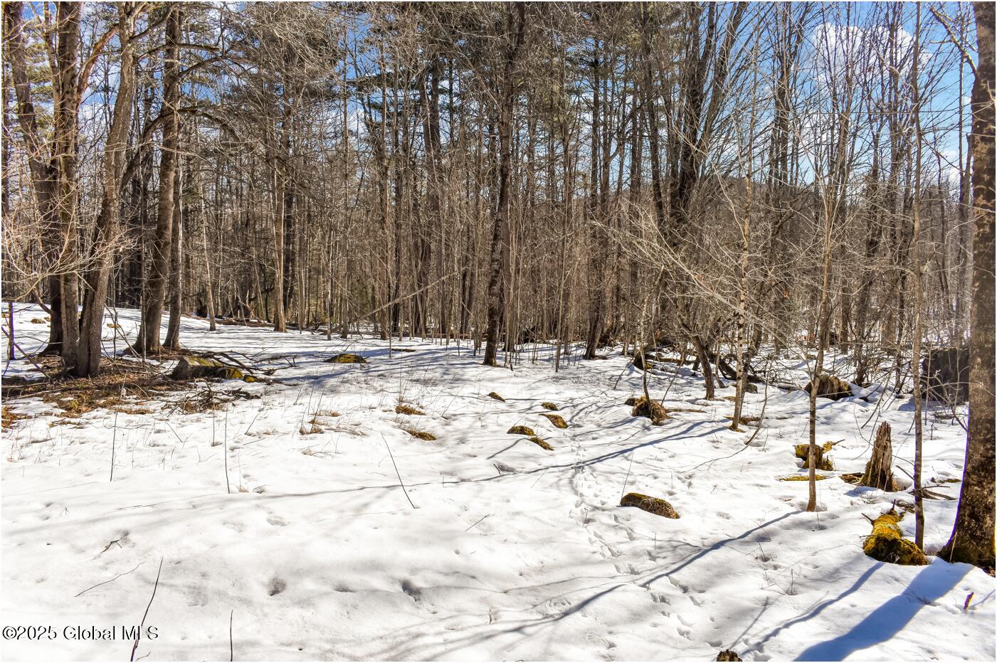 L64 Cooper Hill Road North Creek, NY 12853 - Photo 16 of 29 ch22