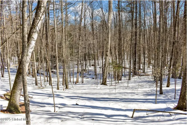 $97,500 | L64 Cooper Hill Road, North Creek, NY 12853