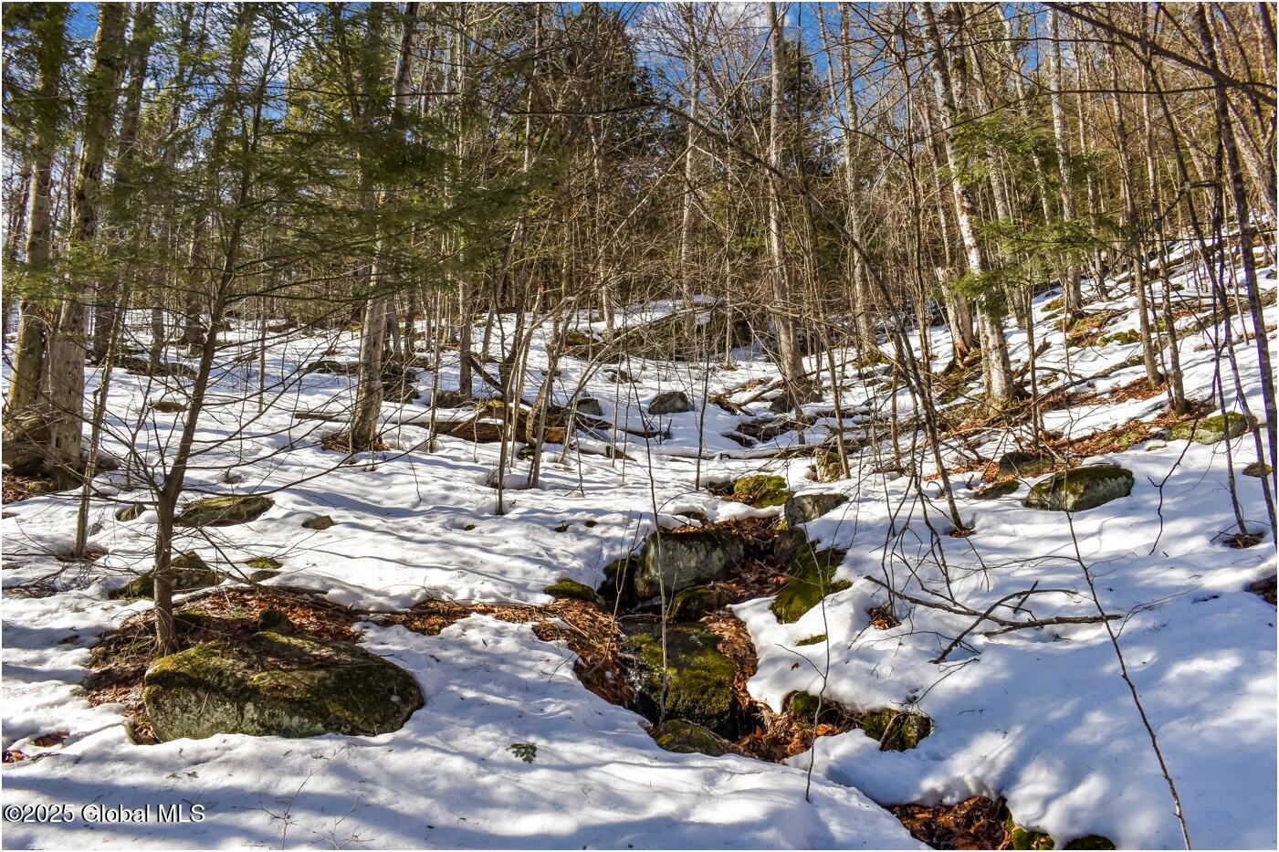 L64 Cooper Hill Road North Creek, NY 12853 - Photo 19 of 29 ch12