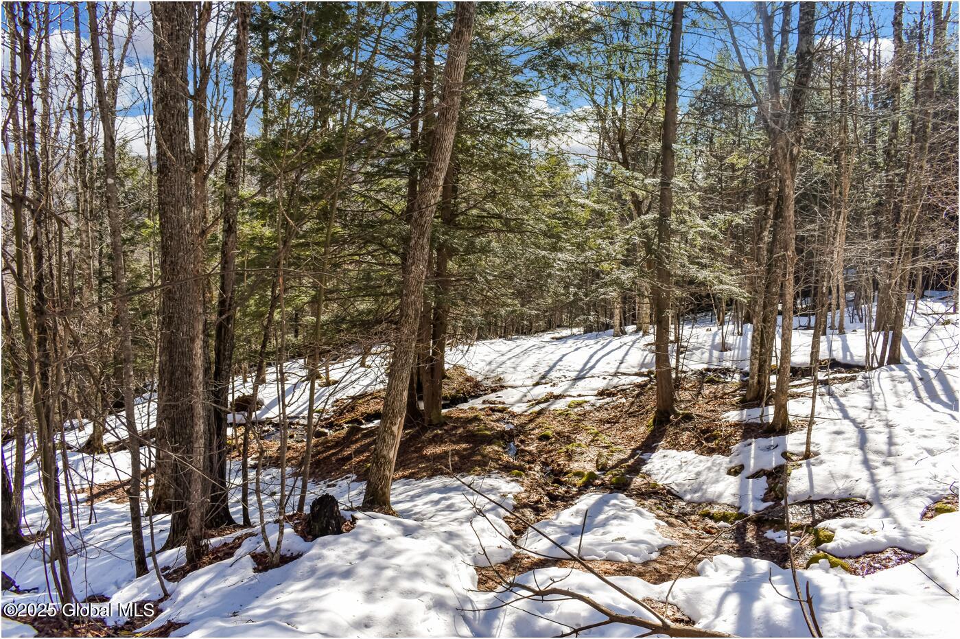 L64 Cooper Hill Road North Creek, NY 12853 - Photo 20 of 29 ch10