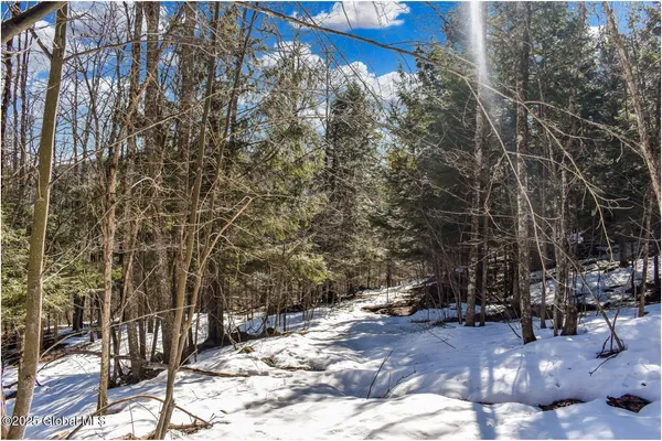 $97,500 | L64 Cooper Hill Road, North Creek, NY 12853