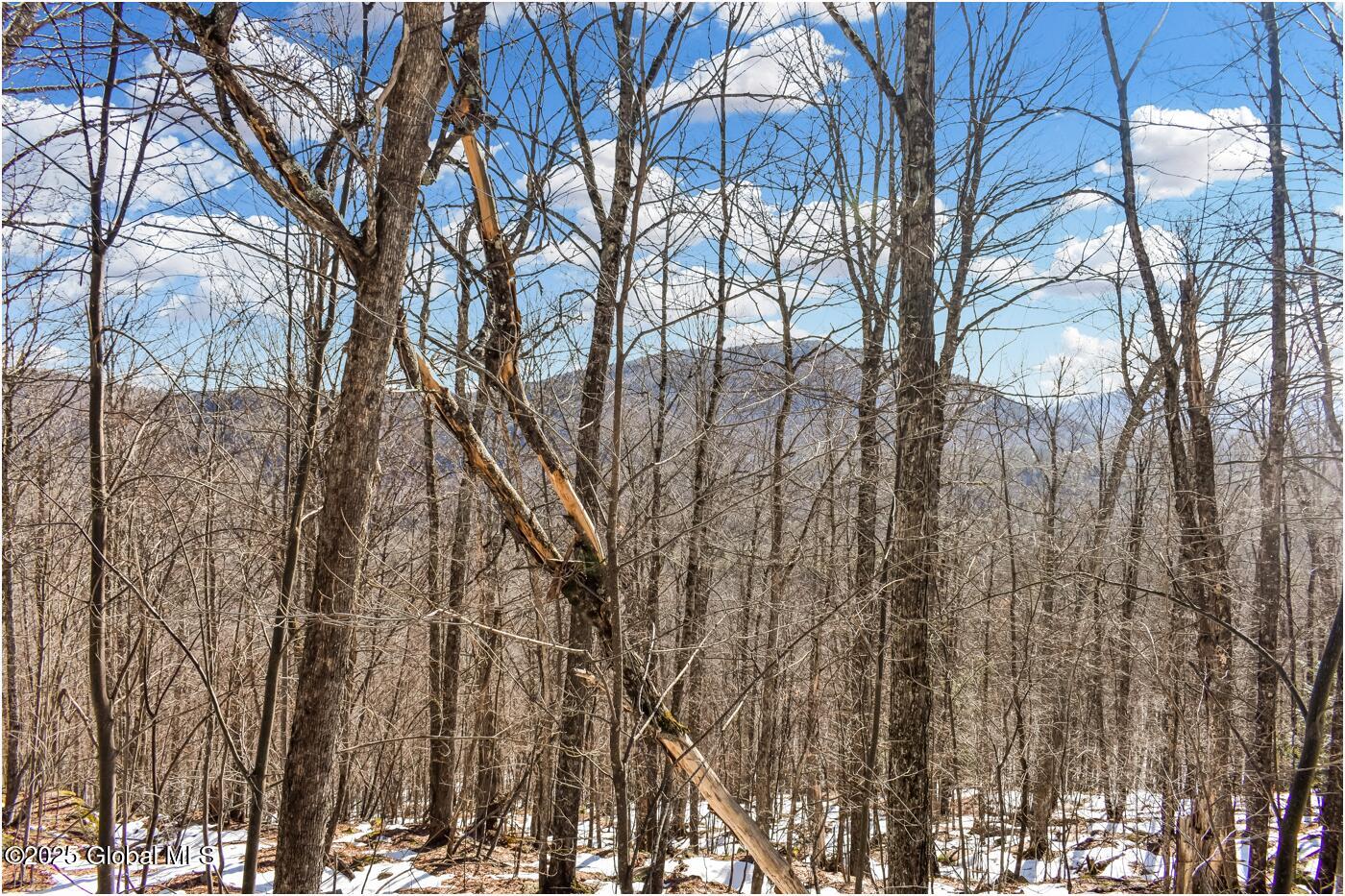 L64 Cooper Hill Road North Creek, NY 12853 - Photo 23 of 29 ch5