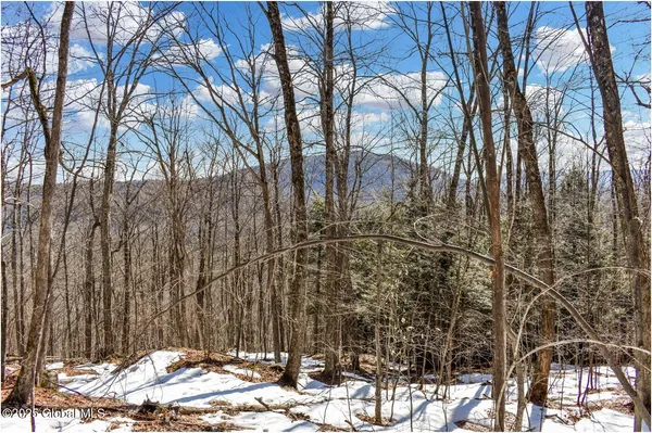 $97,500 | L64 Cooper Hill Road, North Creek, NY 12853
