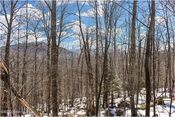 $97,500 | L64 Cooper Hill Road, North Creek, NY 12853