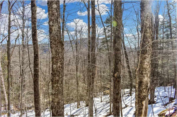 $97,500 | L64 Cooper Hill Road, North Creek, NY 12853