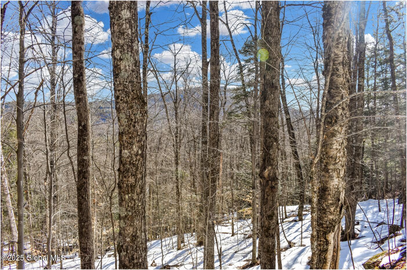 L64 Cooper Hill Road North Creek, NY 12853 - Photo 26 of 29 ch14