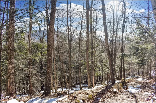 $97,500 | L64 Cooper Hill Road, North Creek, NY 12853