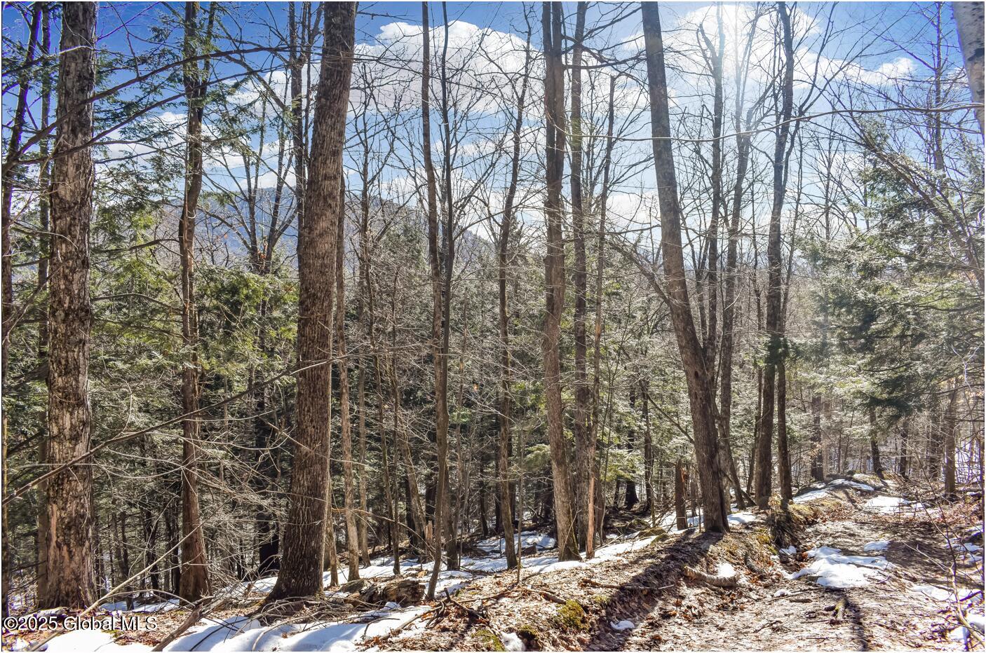 L64 Cooper Hill Road North Creek, NY 12853 - Photo 27 of 29 ch15