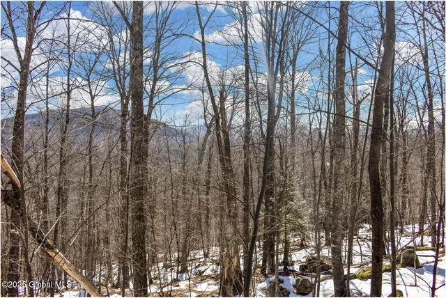 $97,500 | L64 Cooper Hill Road, North Creek, NY 12853