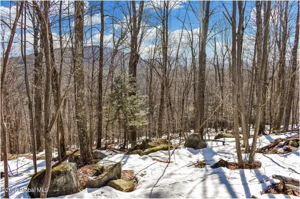 $97,500 | L64 Cooper Hill Road, North Creek, NY 12853