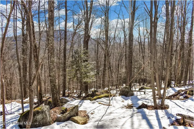 $97,500 | L64 Cooper Hill Road, North Creek, NY 12853