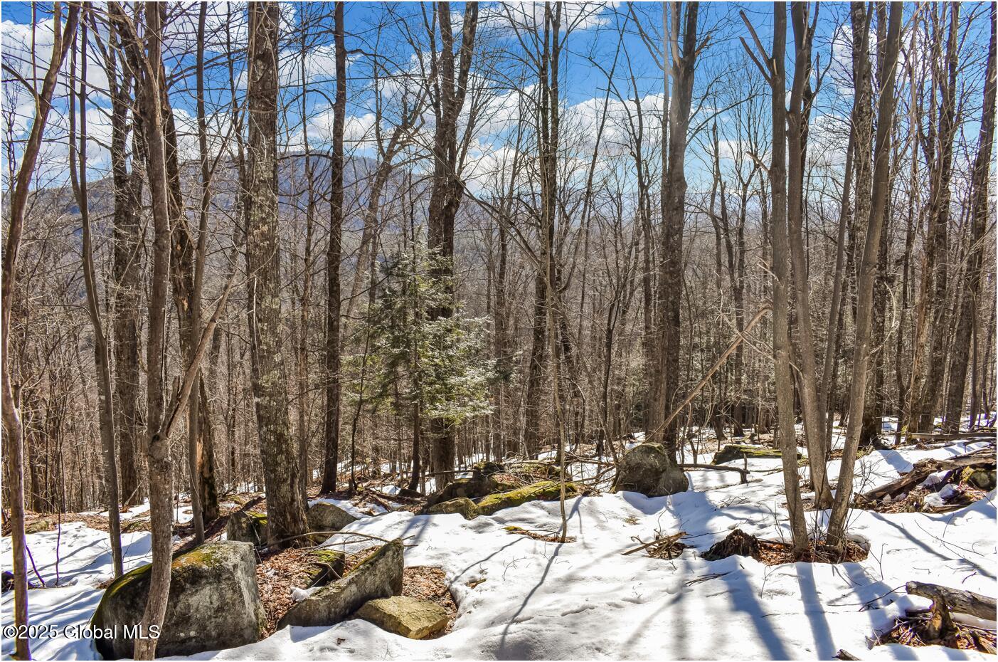 L64 Cooper Hill Road North Creek, NY 12853 - Photo 28 of 29 ch7