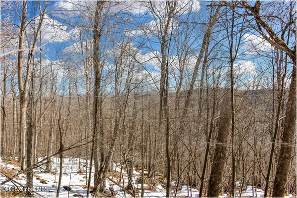 $97,500 | L64 Cooper Hill Road, North Creek, NY 12853