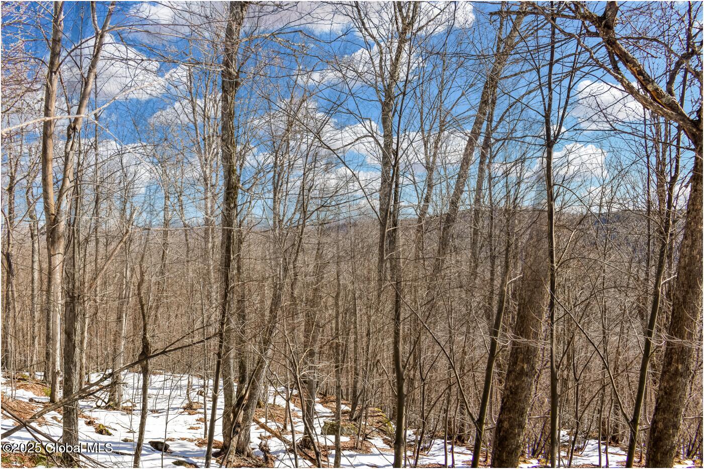 L64 Cooper Hill Road North Creek, NY 12853 - Photo 29 of 29 ch4