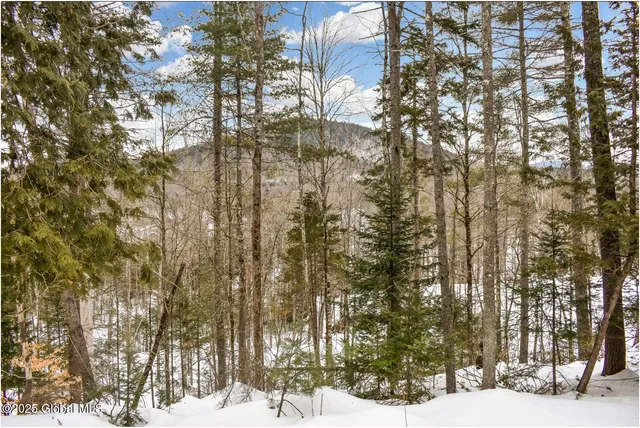 $97,500 | L64 Cooper Hill Road, North Creek, NY 12853