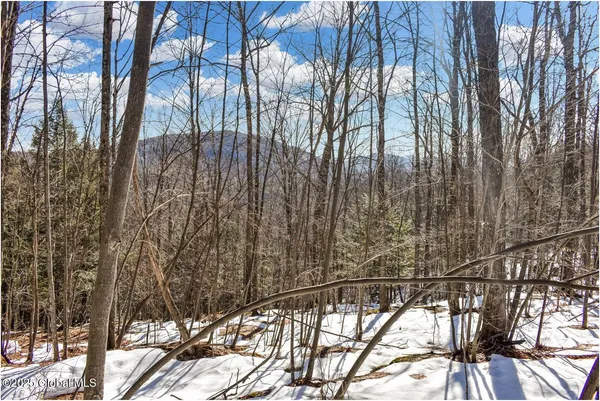 $97,500 | L64 Cooper Hill Road, North Creek, NY 12853