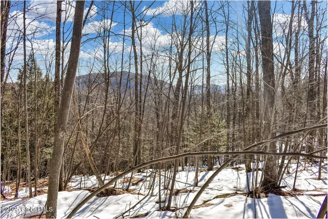 $97,500 | L64 Cooper Hill Road, North Creek, NY 12853