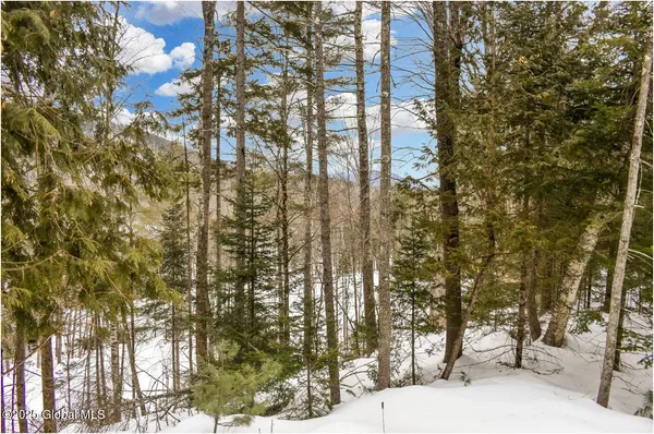 $97,500 | L64 Cooper Hill Road, North Creek, NY 12853